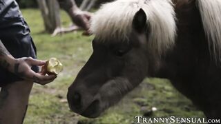 Gorgeous TS plowed & facialized by husbands co-worker