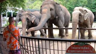 Amateur Thai GF went a day out & has sex afterwards with Boyfriend