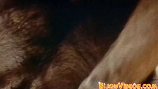 Retro gay porn horny muscle men huge dick sucking sixtynine