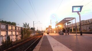 Miss Alice Wild tames the pack...