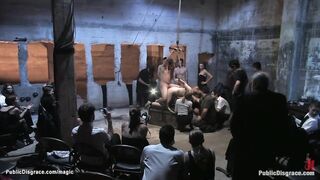 Brunette on a leash ass fucking public fucked