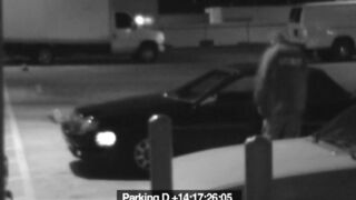 Meat tart sucks off security attendant