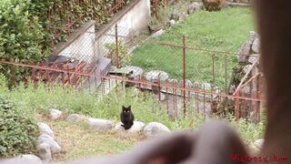 Mistress foot worship in the bedroom