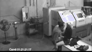 Co workers masturbating in horny office warehouse