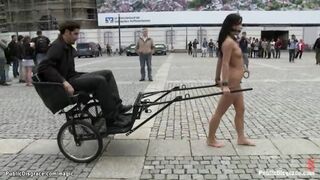 Romanian hoe pulling chariot in public